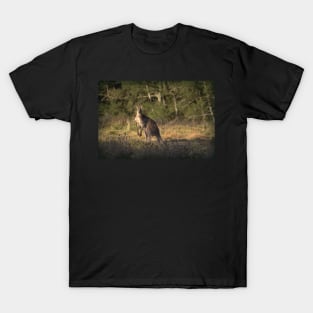 Kangaroo T-Shirt